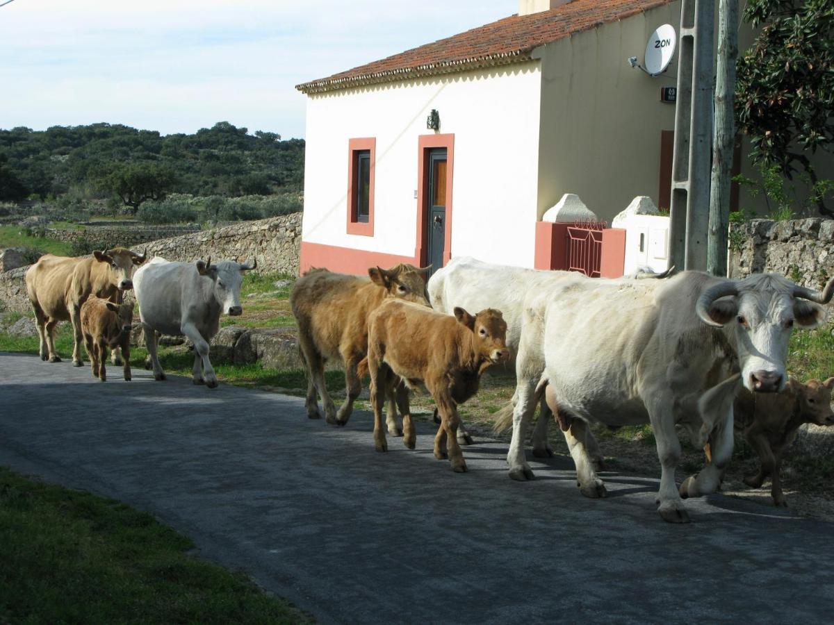 Casas Da Estacao, Country Houses Marvão Zimmer foto